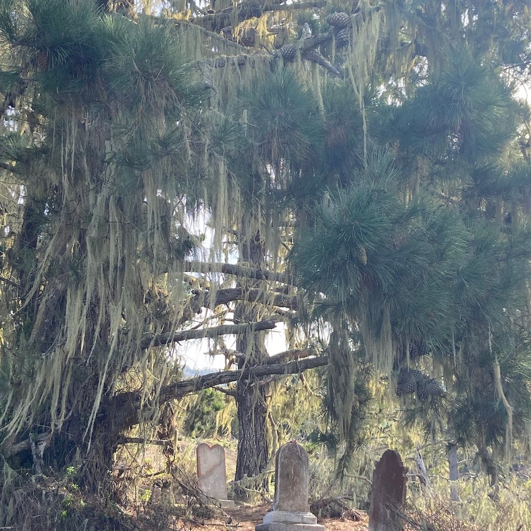 Purissima Cemetery 1
