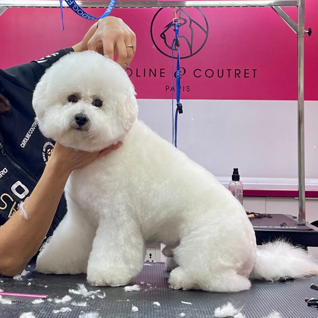 Au Paradis Canin 1