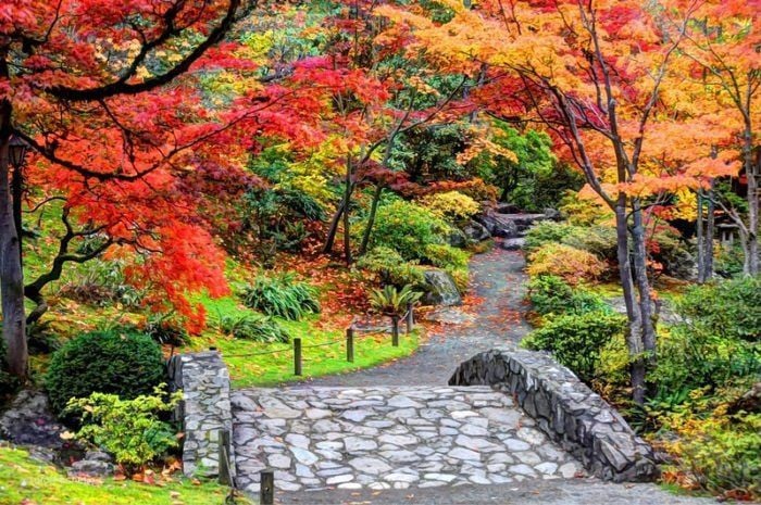 Washington Park Arboretum 1
