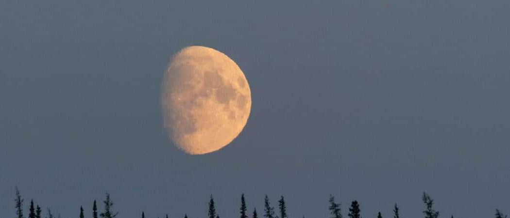 Knowing Nature: Stories of the Boreal Forest 1