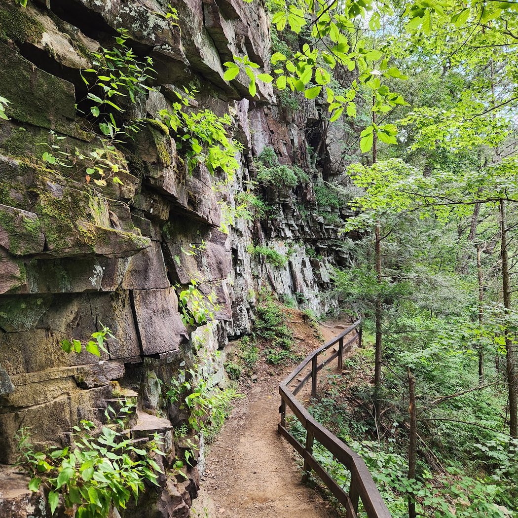 Cloudland Canyon State Park 3