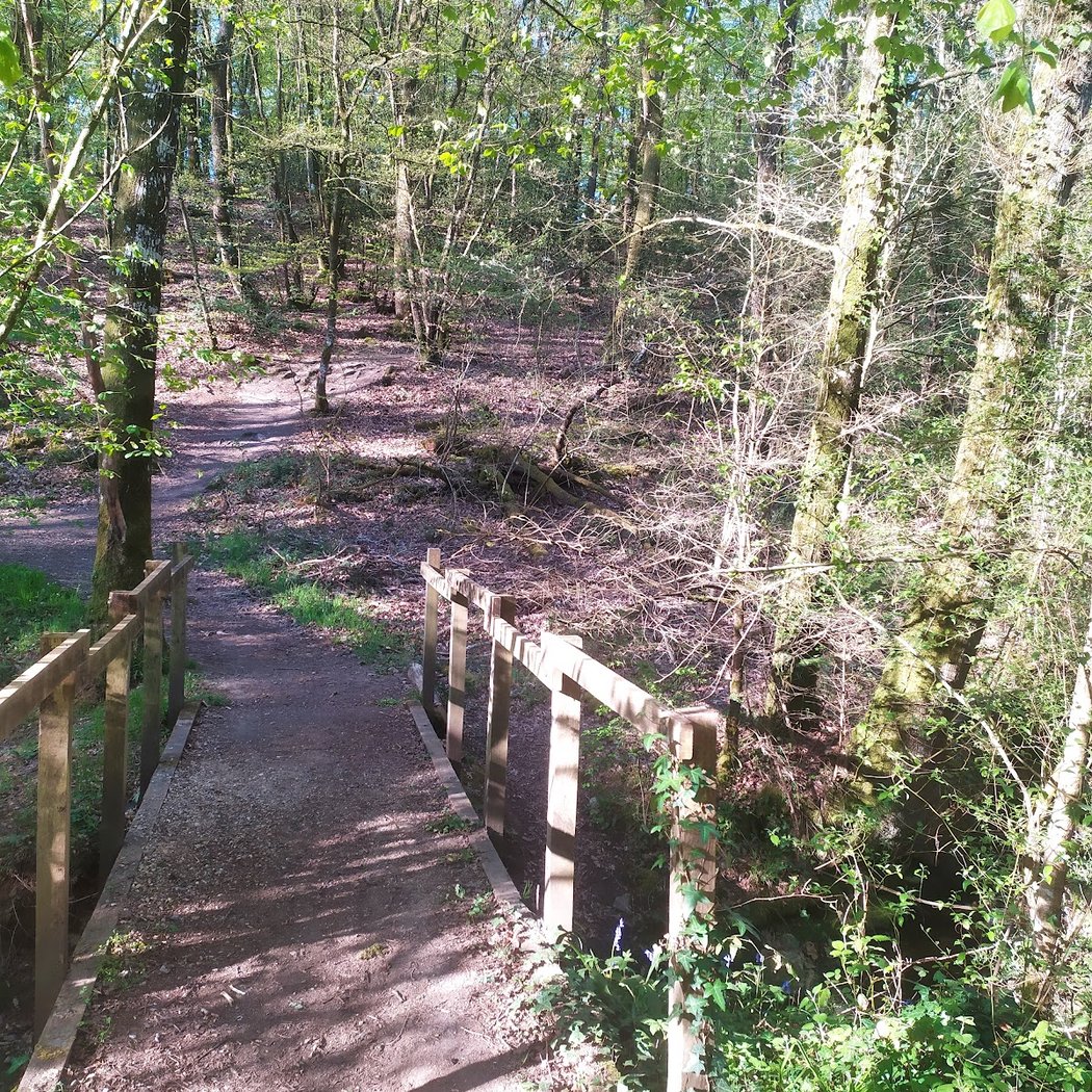 Découverte du Bois de l’Huisserie 3
