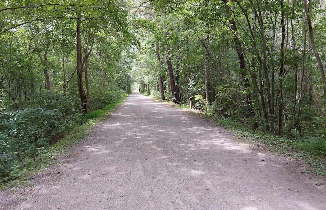 Barnegat Branch Trail 1
