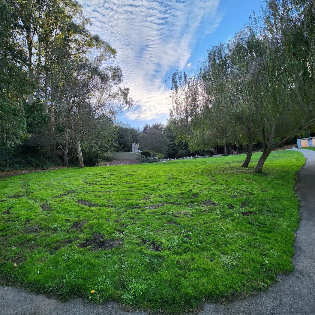 McLaren Redwood Playground 2