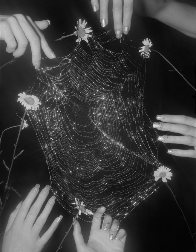 Flowers Drink the River — Pia-Paulina Guilmoth 1
