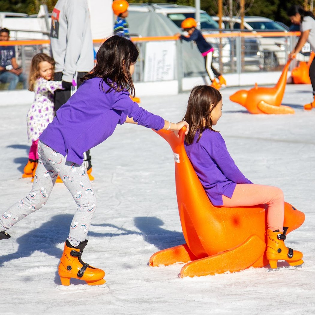 Taylor Swift Night at the Ice Rink 4