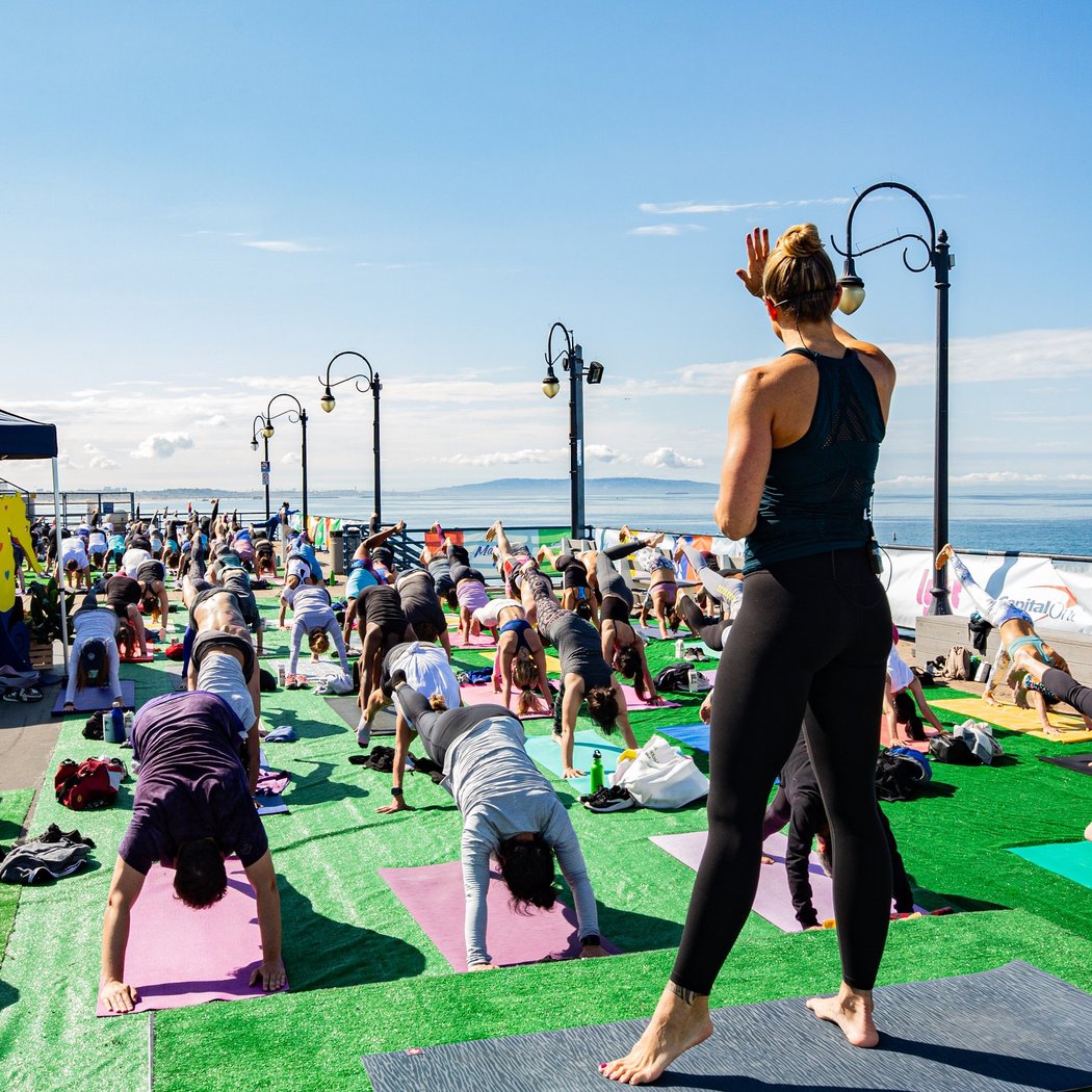 Wellness & Waves 3