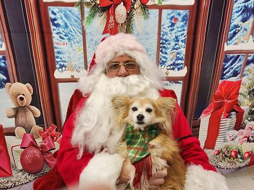 Pet Photos with Santa 1