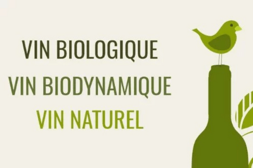 Vins BIO, BIODYNAMIQUES, NATURES 1