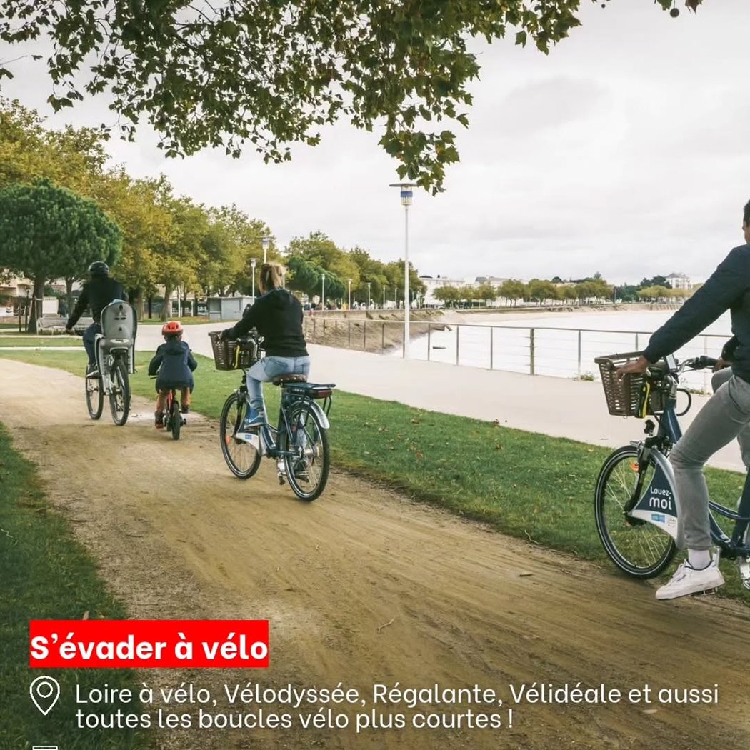 Manufacture Francaise du Cycle - Intersport France 1