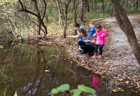 Burr Oak Woods Summer Solstice Hikes 1
