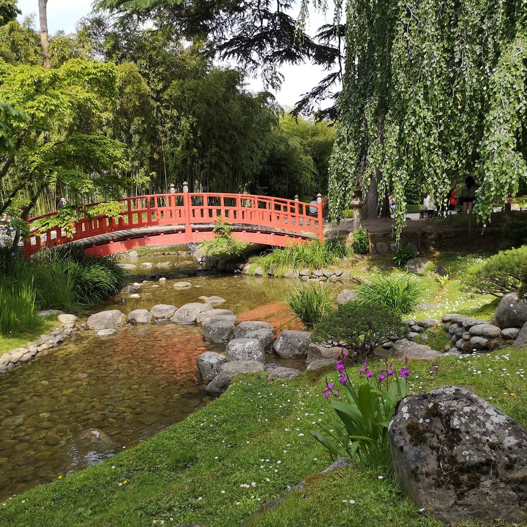 Visite saisonnière : Printemps japonais 1