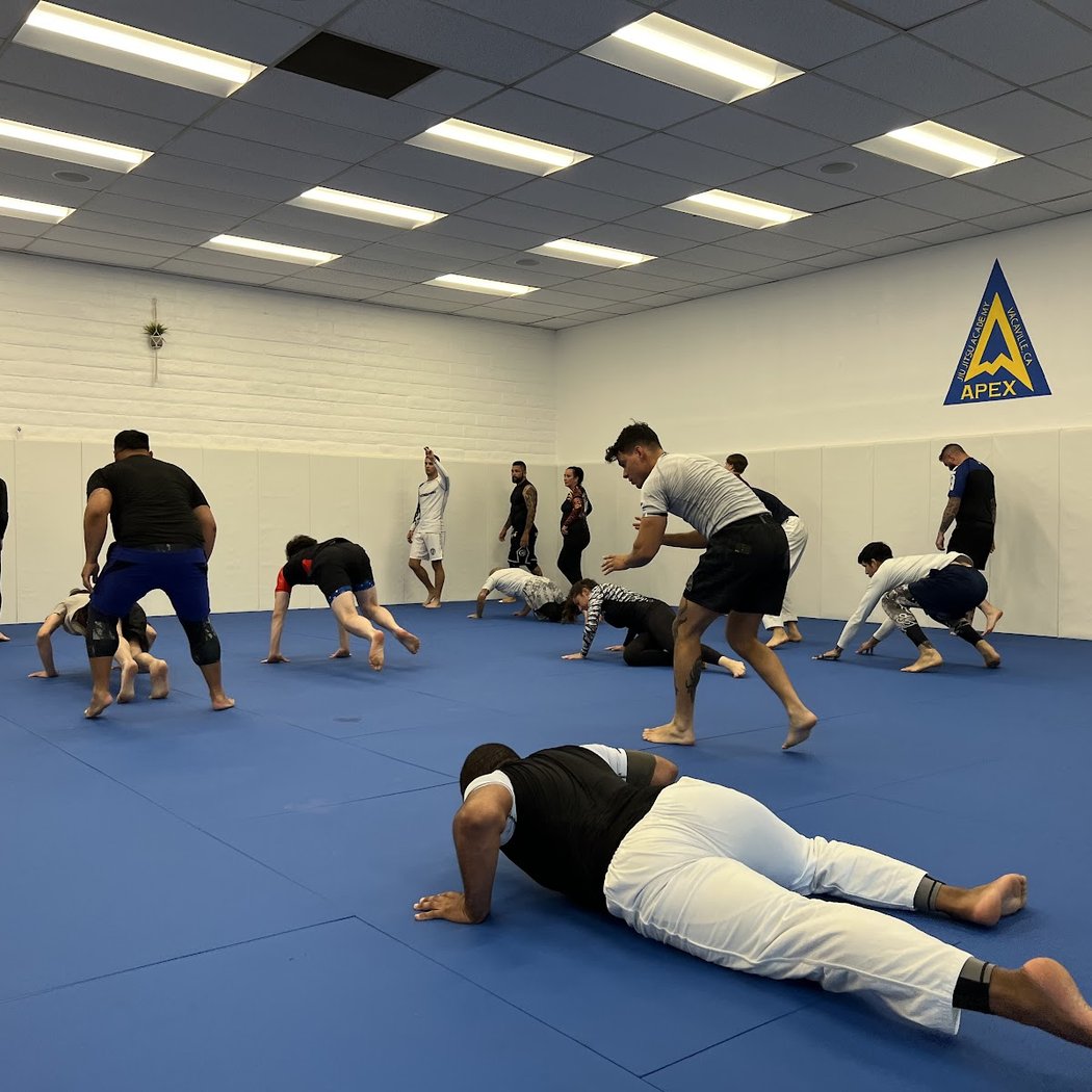 Apex Brazilian Jiu Jitsu Academy Vacaville 2