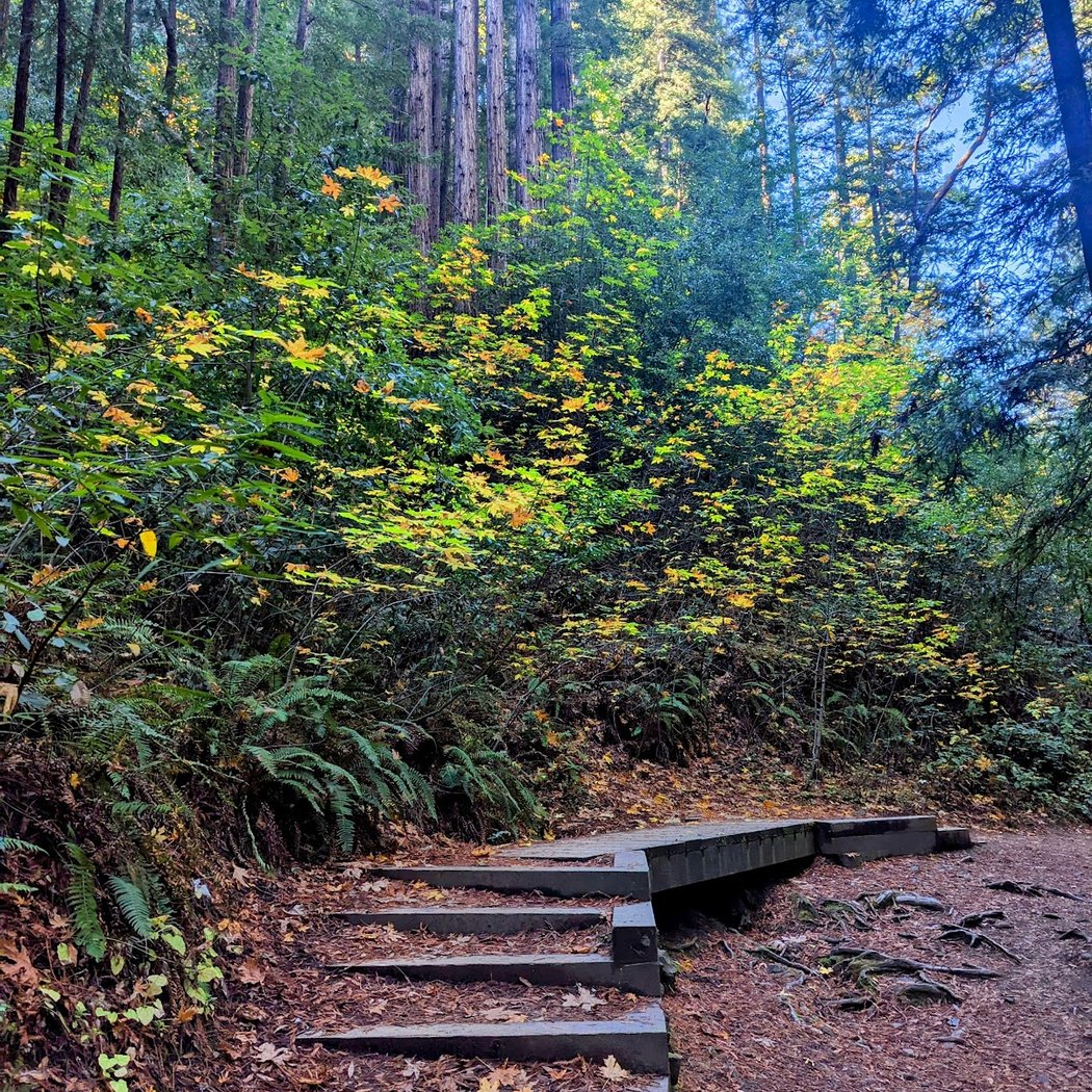 Baltimore Canyon 1
