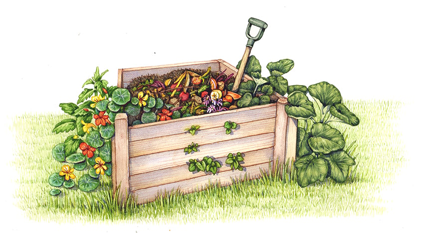Backyard Composting 101 1