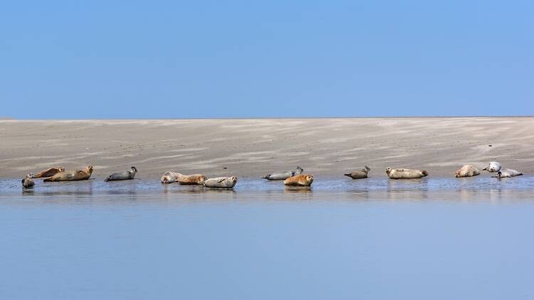 Baie de Somme 2