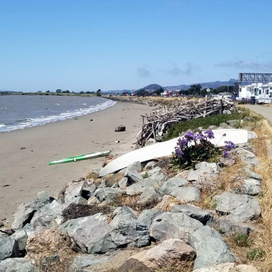 Beach Trail 2