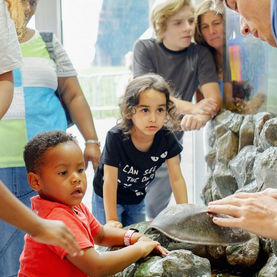 Open Hours at the Environmental Education Center 1