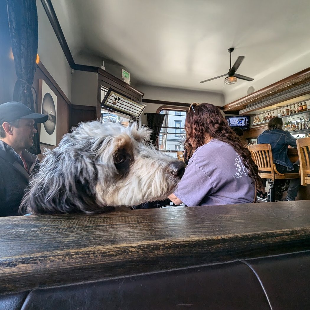 Dogpatch Saloon 1