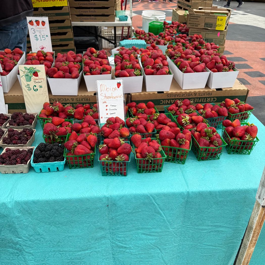 Civic Center Farmer's Market 1