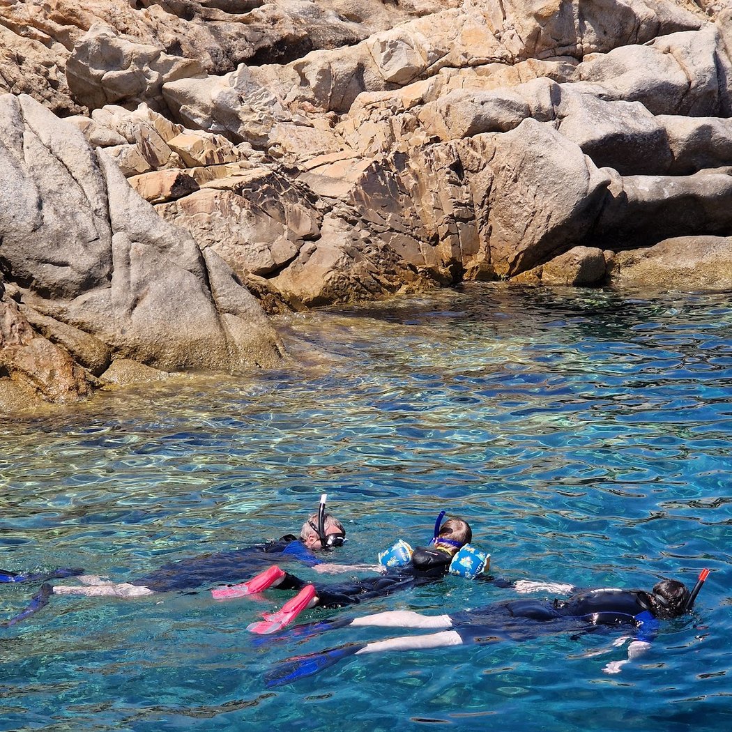 Sea ​​Horse Diving Calvi 4