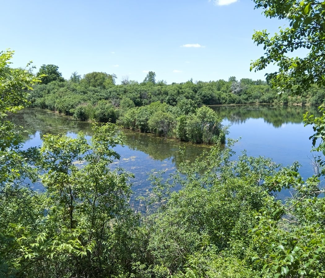 Lake Renwick Migratory Bird Viewing 3