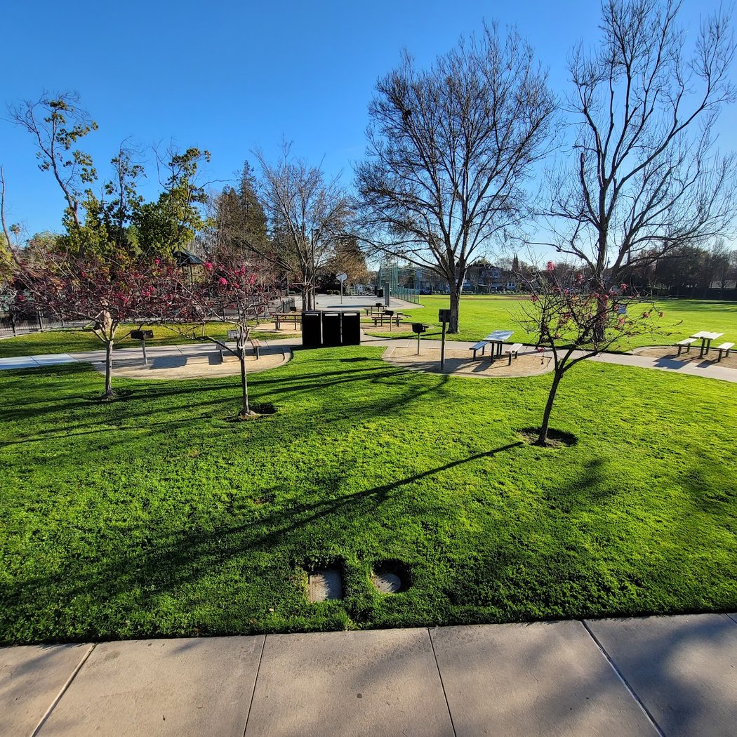 Laureola Park 2