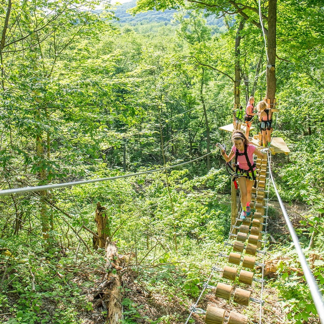 Treescape Aerial Adventure Park 2