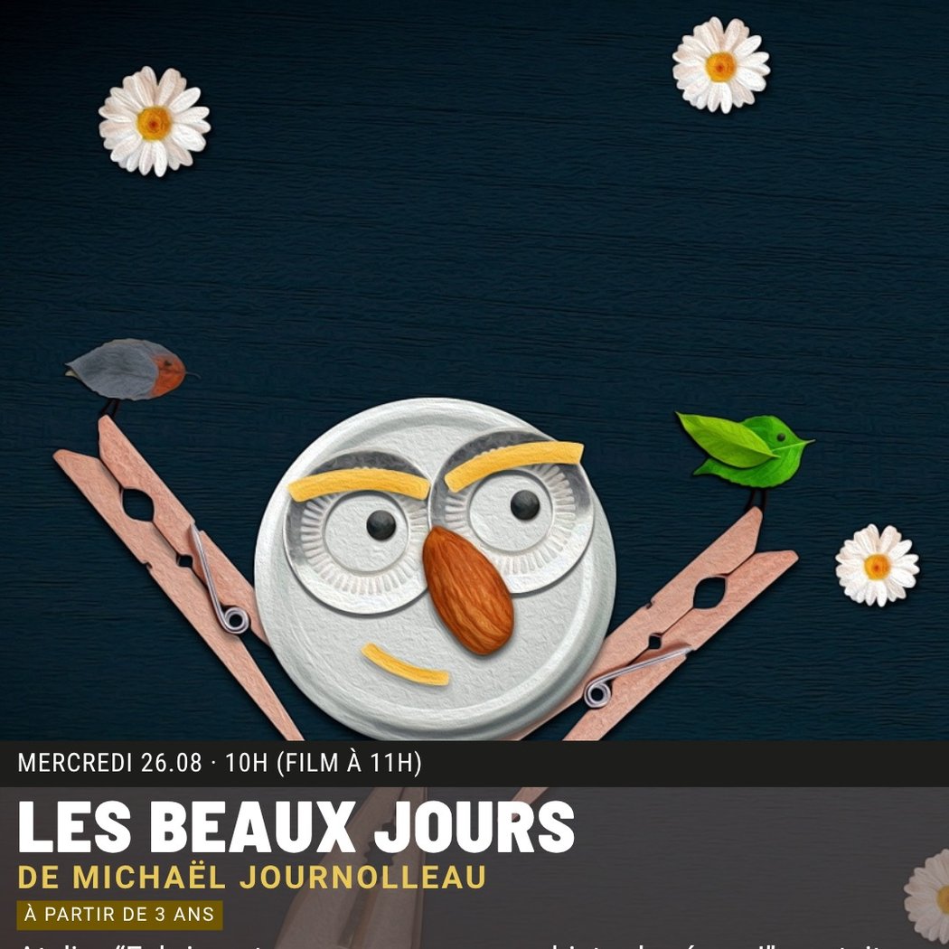 LES BEAUX JOURS de Michaël Journolleau