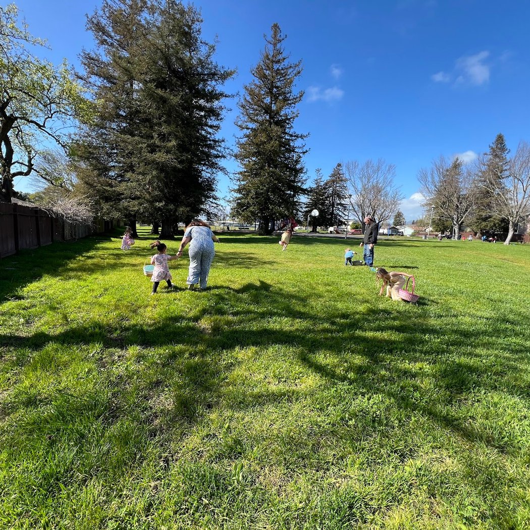 Garden Steward November Workday 2