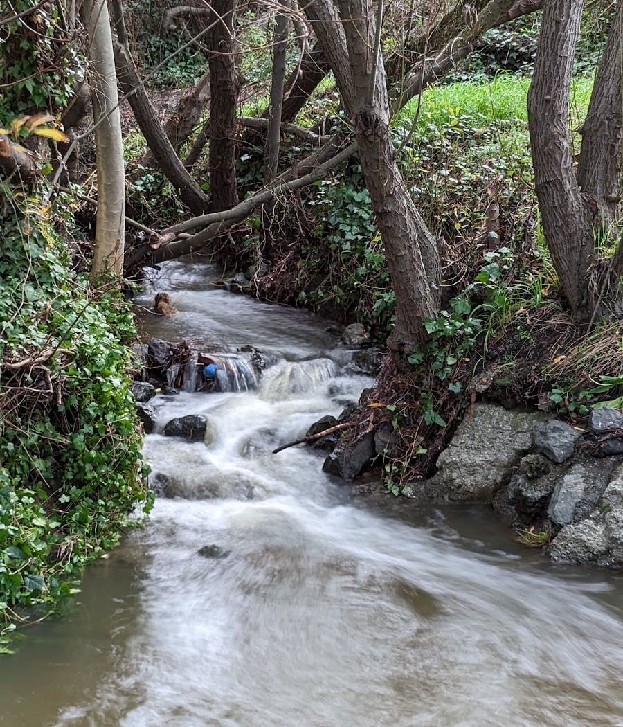 Cerrito Creek Path 1