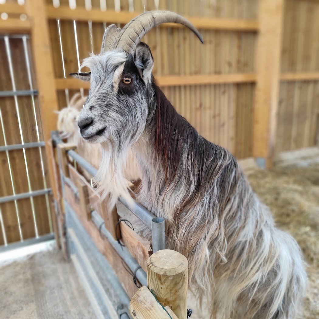 GAEC AnimÉcow Ferme pédagogique 1