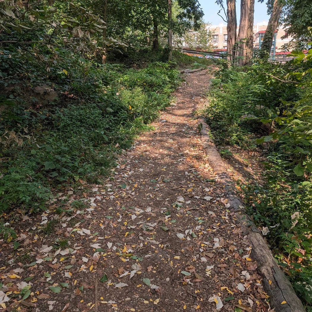 Highbridge Park Mountain Bike Trailhead 2