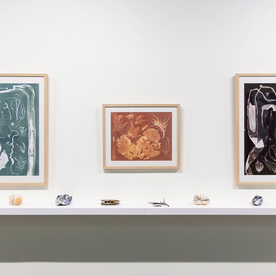 Oriana Poindexter: Field Notes Exhibition 2