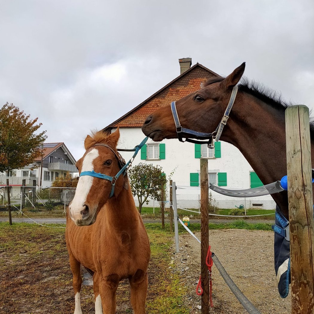 Maryline à la Ferme 3