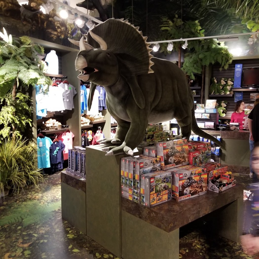 Dino Store 1