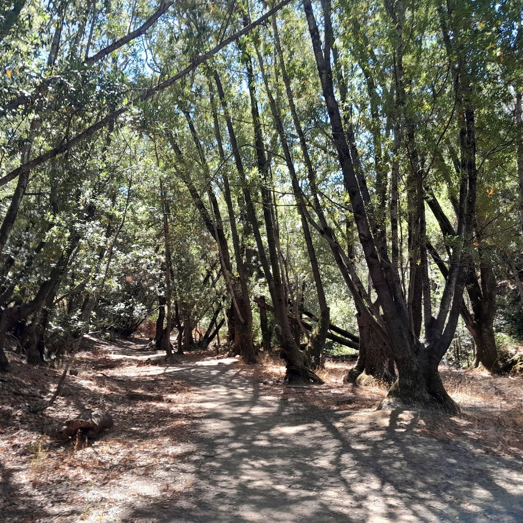 Glen Fire Road Trailhead 3