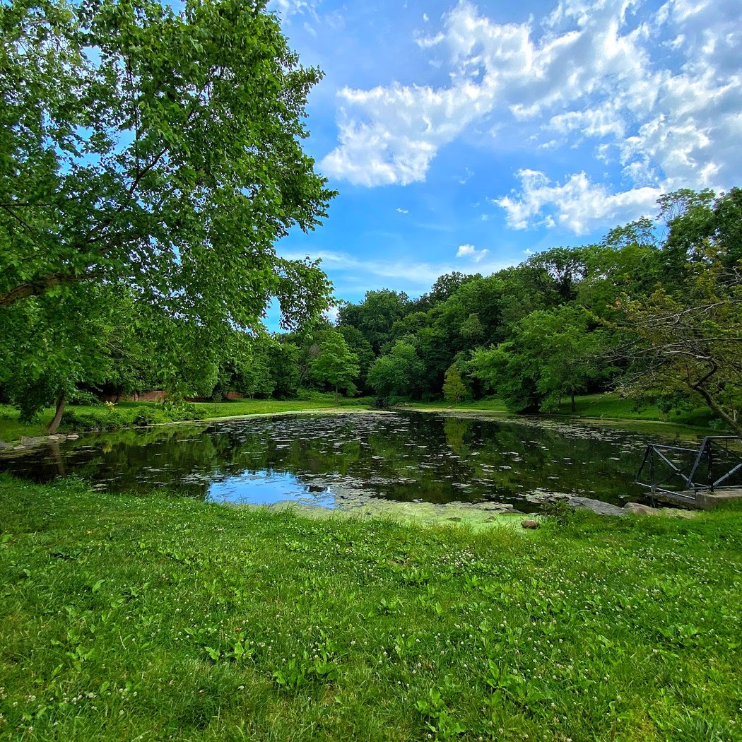 Allison Pond Park 2