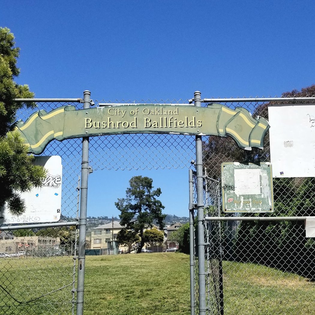 Bushrod Park Baseball Fields 1