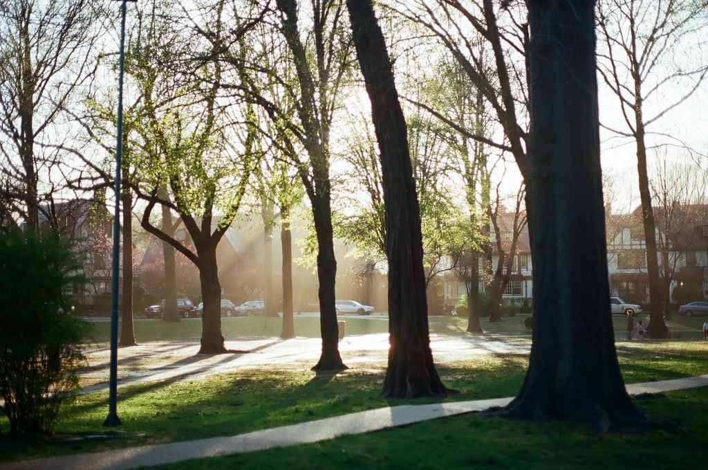 Hawthorne Park Forest Hills 1