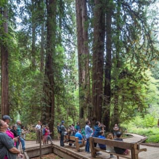 Muir Woods and Sausalito Day Tour & Bay Cruise 2