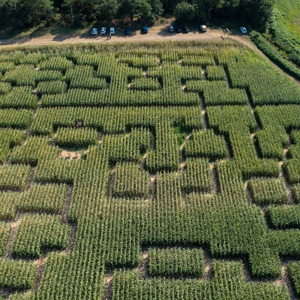 POP CORN LABYRINTHE 1
