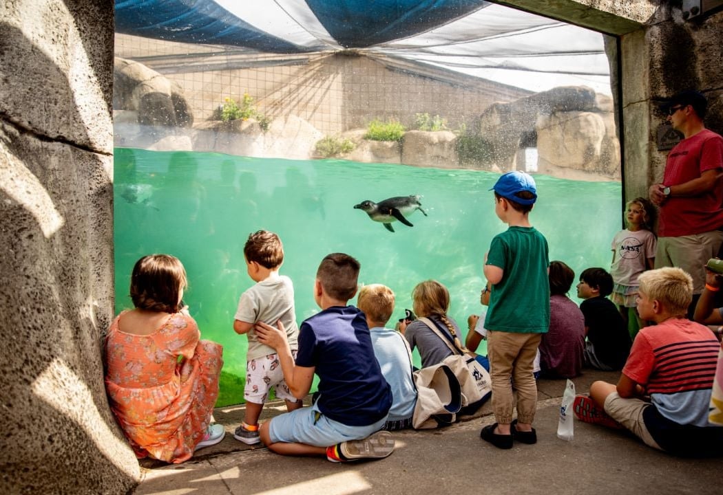 Tulsa Zoo 1