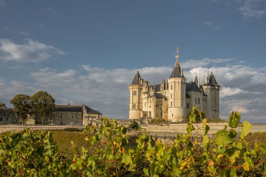 Château de Saumur 3