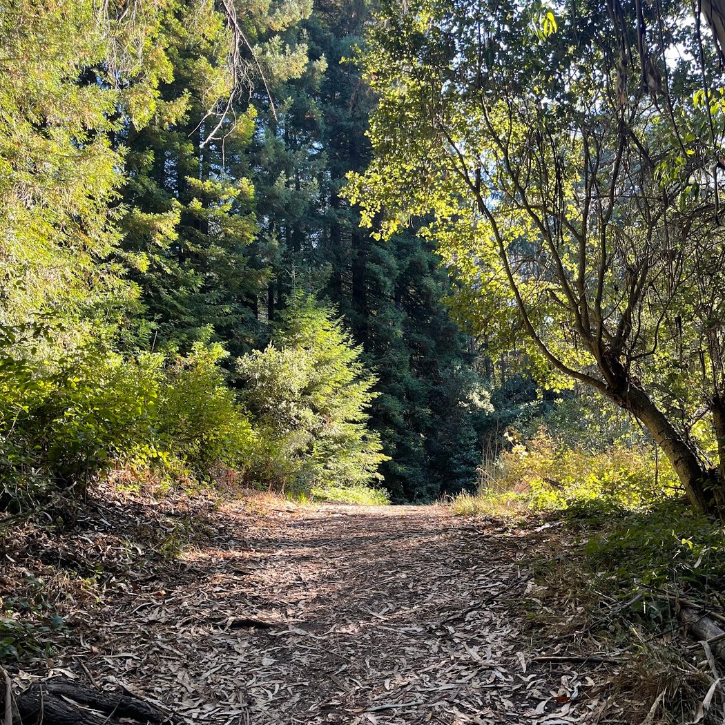 Laurel Picnic Area 3