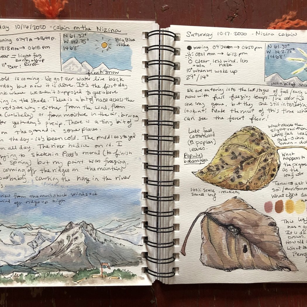 Nature Journaling Workshop 2
