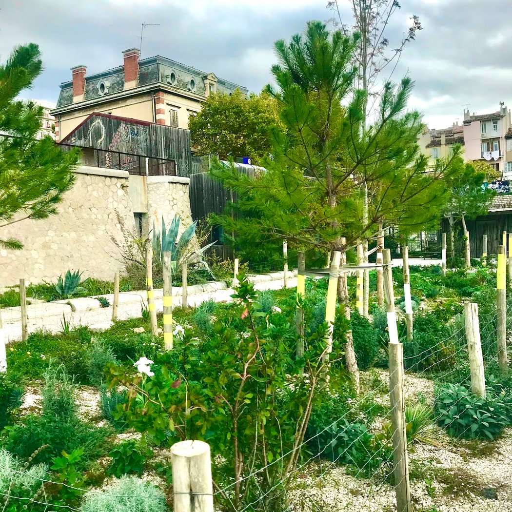 Le jardin des rails 3