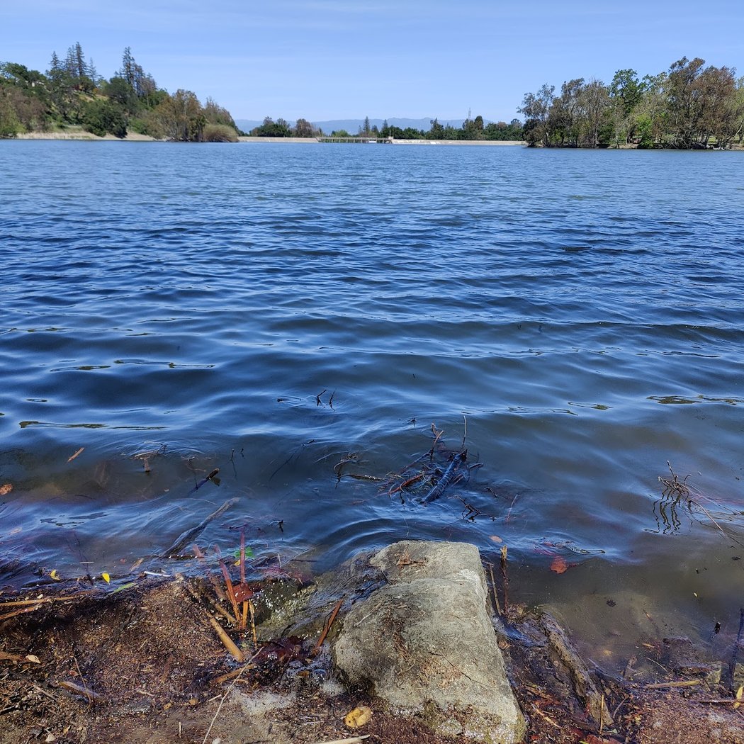 Lakeview Group Area Vasona Park 3