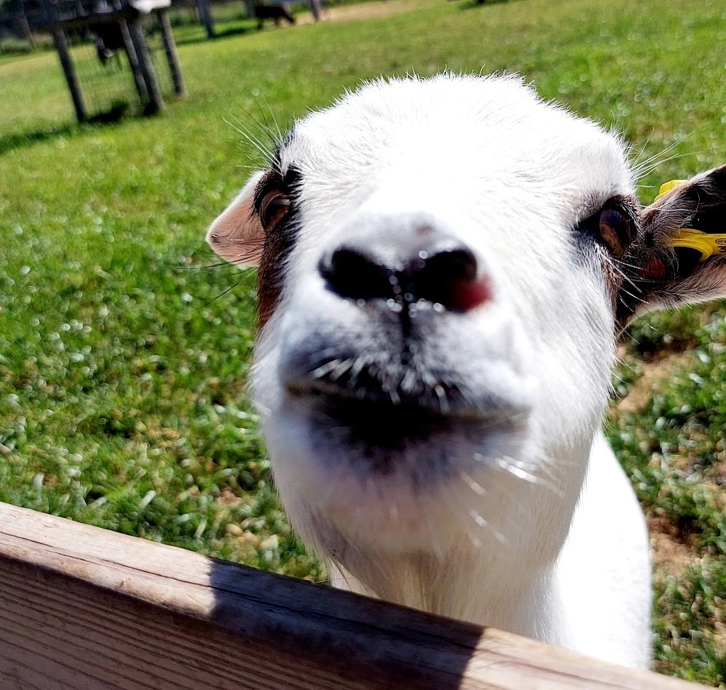 Educational Farm 3