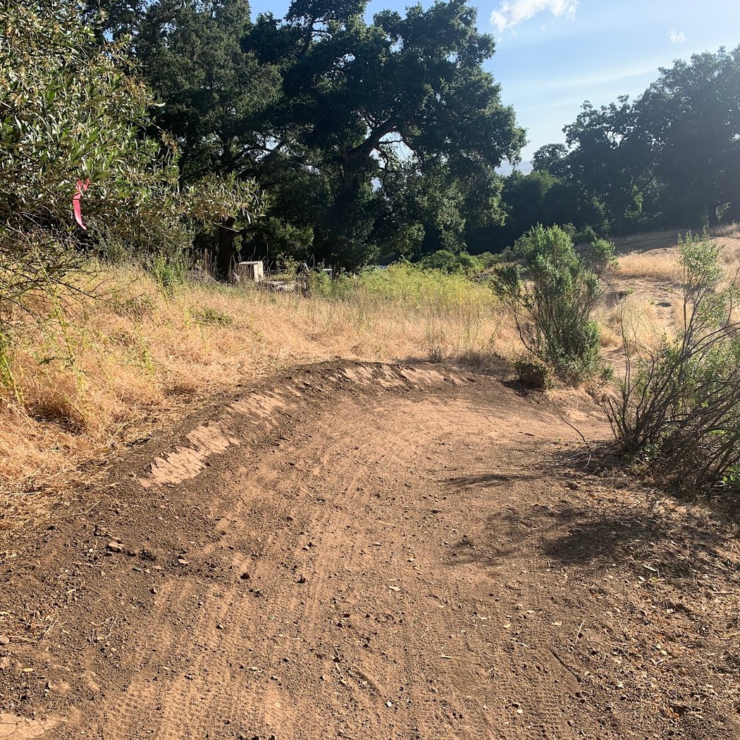 Augustin Bernal Downhill Only Mountain Bike Trail 2